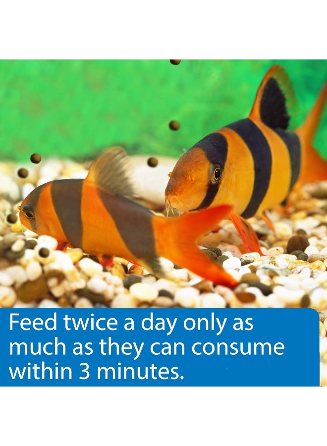 Api Bottom Feeder Pellets With Shrimp, 1.05 Oz - Image 3