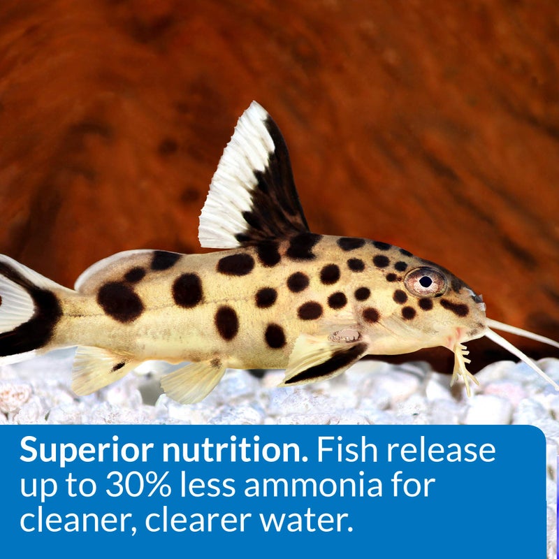 API BOTTOM FEEDER PELLETS WITH SQUID Fish Food 1.3-Ounce Container - Image 3