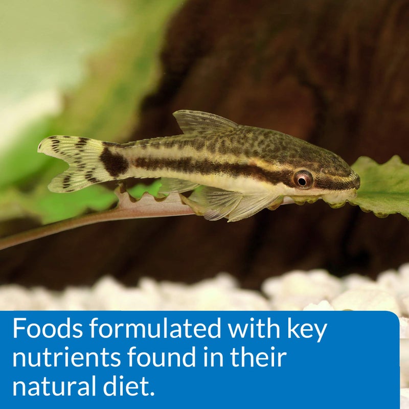 API BOTTOM FEEDER PELLETS WITH SQUID Fish Food 1.3-Ounce Container - Image 4