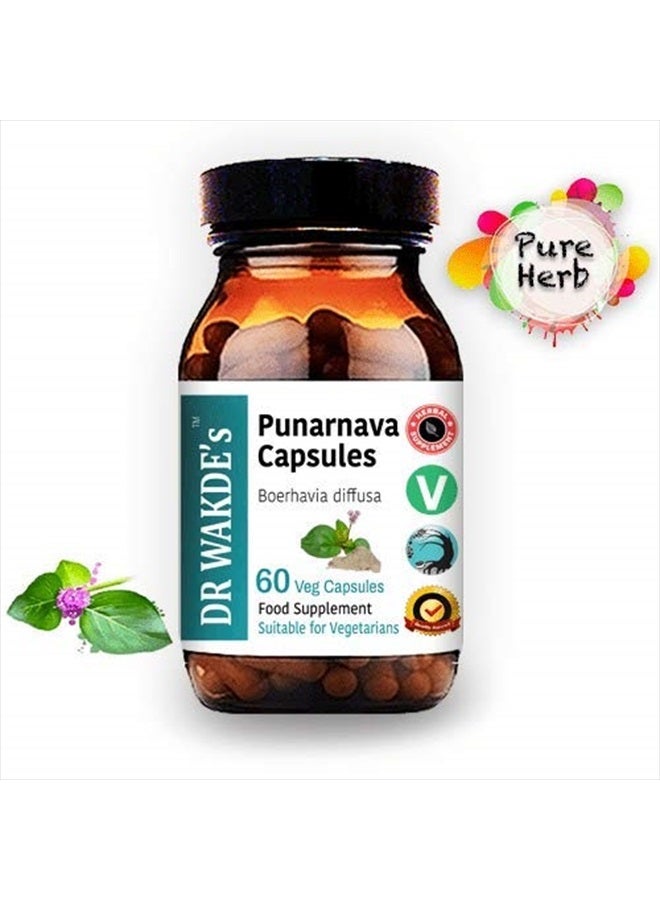 London DR WAKDE'S Punarnava Capsules (Boerhavia diffusa, 60 Veg Caps, Plant-Based Supplement, Ayurvedic Herb, All Natural, Vegan) - Image 2
