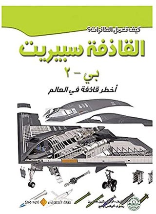 B-2 Spirit Bomber (How Do Airplanes Work Series? - pzsku/Z49C17ECA0F8D8A7210E7Z/45/_/1668342158/65d12594-62cd-4123-8dc1-6e539d0c18dc