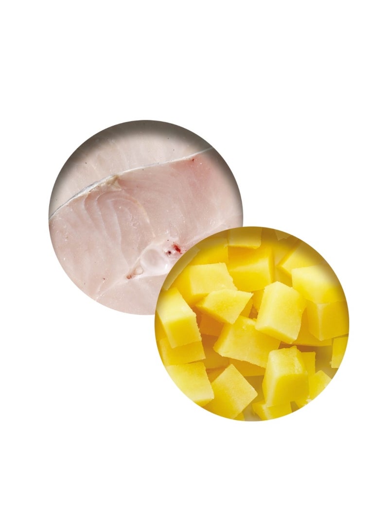 API Catit Fish Dinner, Tilapia & Potato 80 g, 6pcs/box - Image 2