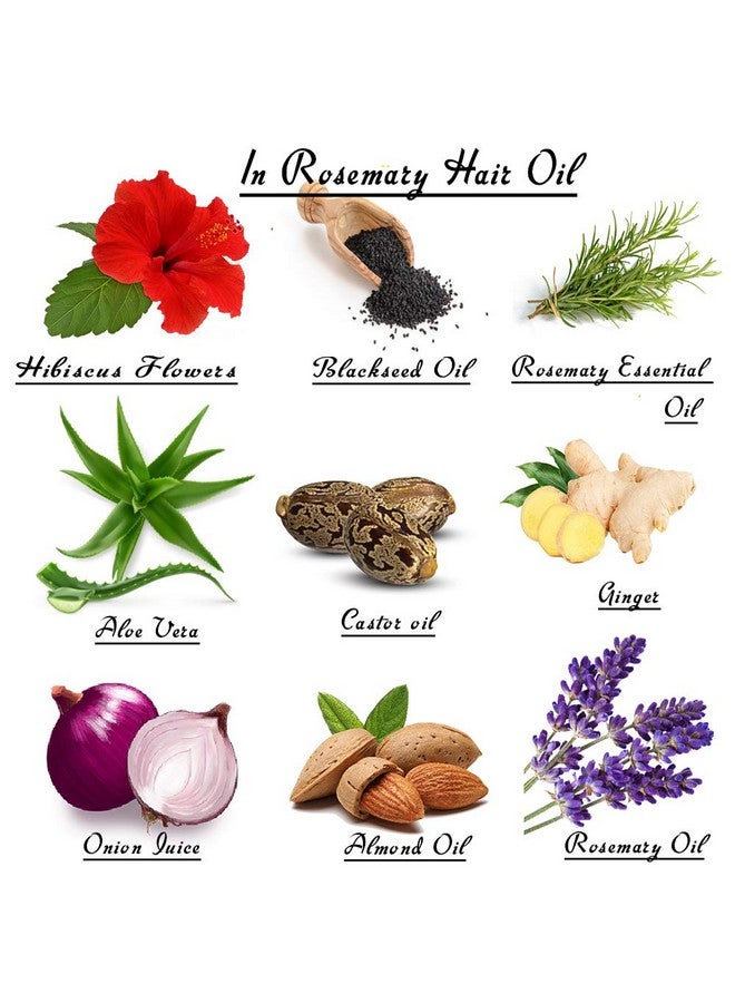 Seyal Rosemary Hair Oil For Hair Fall Control & Hair Growth | With Blackseed Oil, Castor Oil, Hibiscus Flowers Etc 250Ml - Image 2