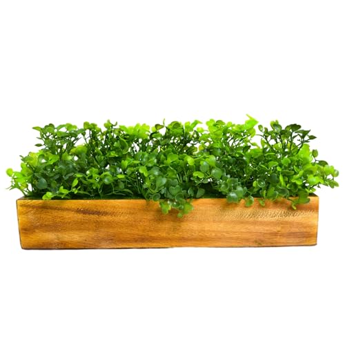 fancymart Artificial Gardenia Plant Bunch in Wood Planter, Home and Office Decor Plants for Decoration, Realistic Green Decorative for Interior, Living Room, Office Desk -8135 - Image 5
