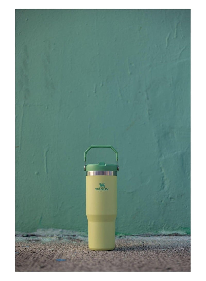 Stanley IceFlow Stainless Steel Tumbler with Straw - Vacuum Insulated Water Bottle for Home, Office or Car - Reusable Cup with Straw Leakproof Flip -Cold for 12 Hours or Iced for 2 Days (Citron), 30oz