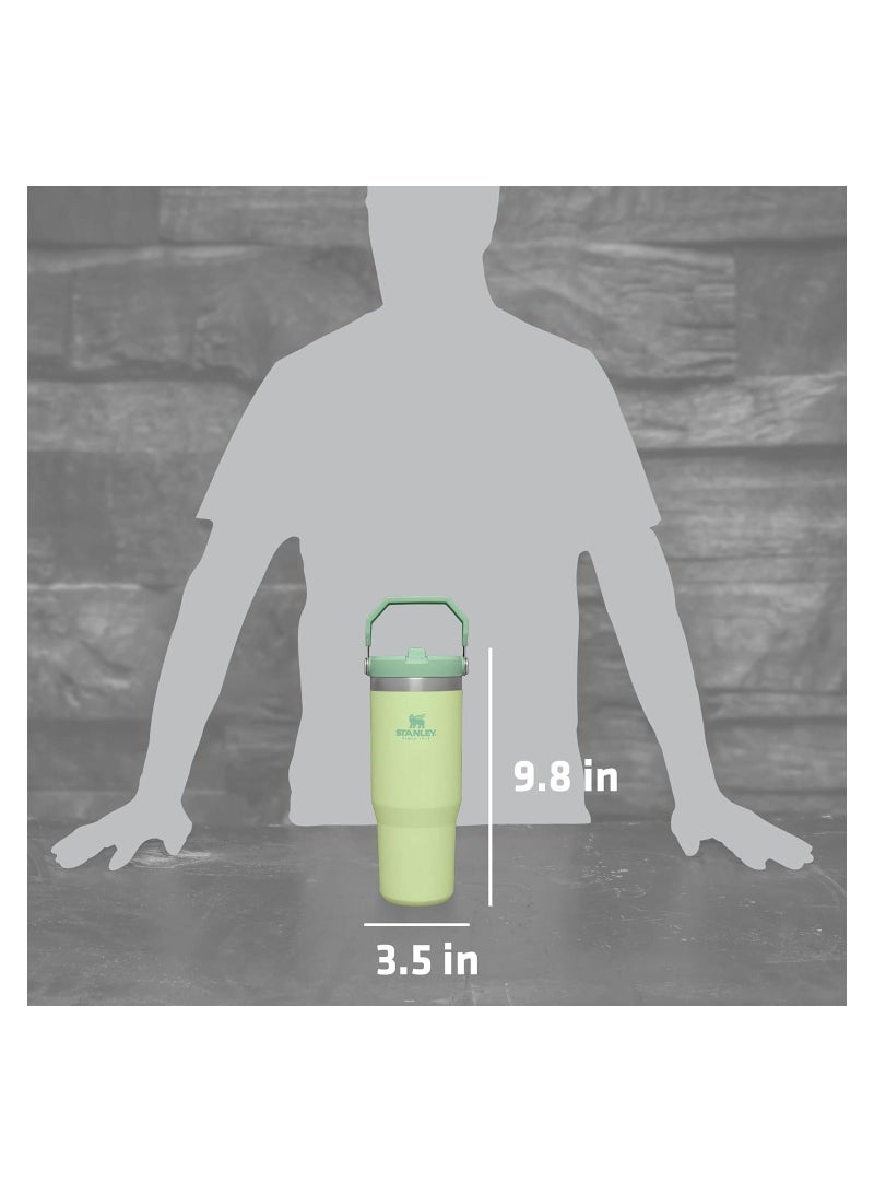 Stanley IceFlow Stainless Steel Tumbler with Straw - Vacuum Insulated Water Bottle for Home, Office or Car - Reusable Cup with Straw Leakproof Flip -Cold for 12 Hours or Iced for 2 Days (Citron), 30oz
