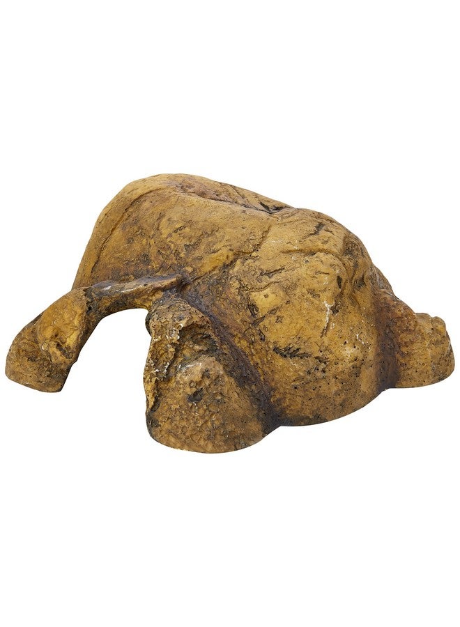 Exo Terra 0015561229319 1 Reptile Cave  Medium, Multicolor - Image 1