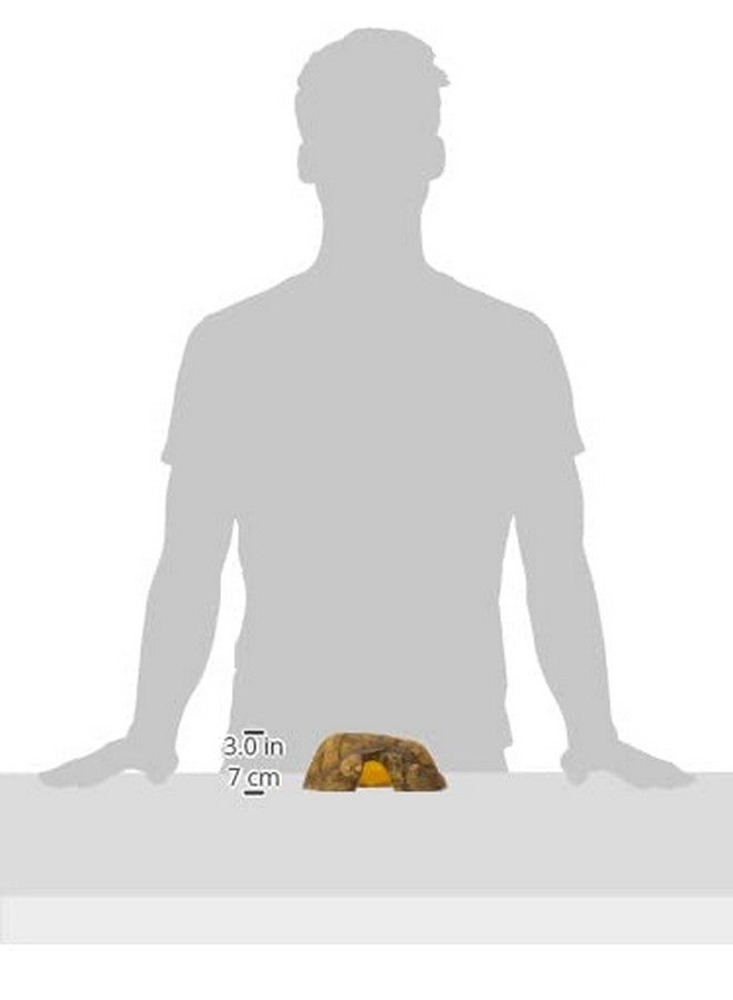 Exo Terra 0015561229319 1 Reptile Cave  Medium, Multicolor - Image 4