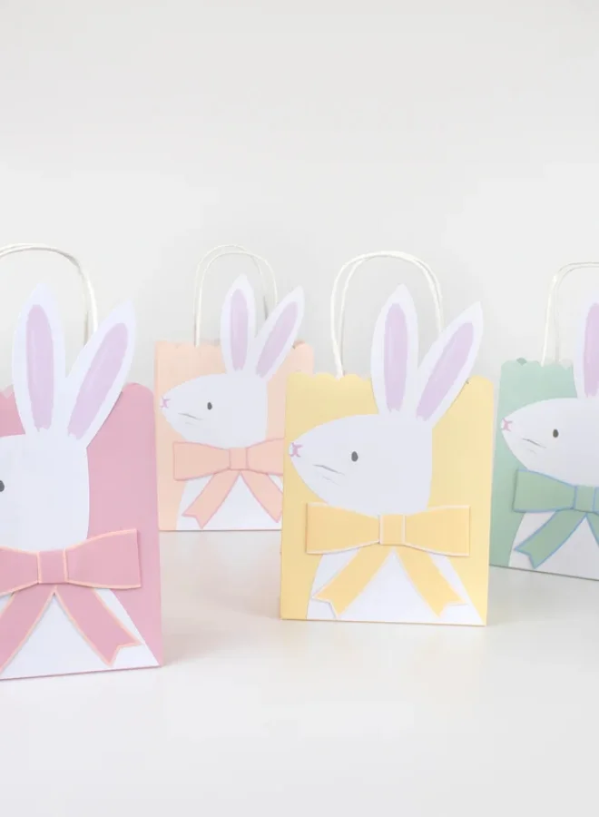 ميري ميري Easter Party Bags