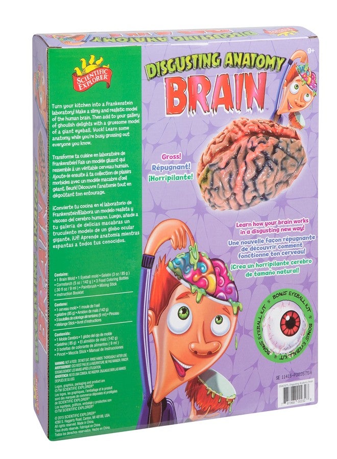 Scientific Explorer Disgusting Anatomy Brain, Multi Color - Image 2