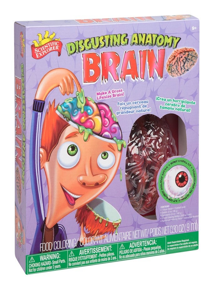 Scientific Explorer Disgusting Anatomy Brain, Multi Color - Image 1