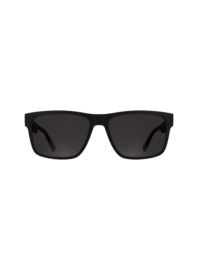 LACOSTE نظارات شمسية لاكوست كاملة الإطار L6076S 5817 (002) باللون الأسود غير اللامع - Image 1