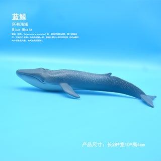 New Solid Ocean Animals Whale Shark Model Toys for Kids Big Blue Whale - pzsku/Z49CC933B88DD41795754Z/45/1746230395/70f10815-93aa-42d1-ae58-81f973818b92
