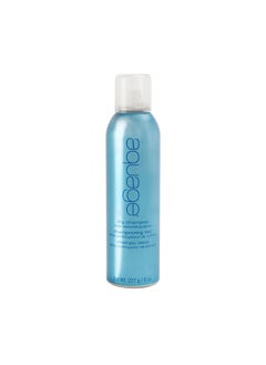 Dry Shampoo Style Extending Spray 8 Oz Hybrid Product That Combines Oilabsorbing Benefits Of A Dry Shampoo With The Volumizing Benefits Of A Texturizing Spray