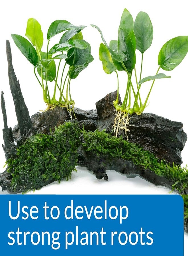 ايه بي آي أقراص API Root TABS لسماد نباتات أحواض السمك في المياه العذبة، عبوة تحتوي على 10 أقراص (عبوة من قطعتين) - Image 2