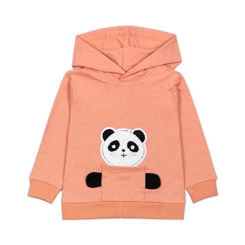 ARIEL Kids Cotton Fleece Full Sleeve Hoodie Sweatshirt & Sweatpant Clothing Set for Boys and Girls (TEDYPKT_5-6 years) - Image 5
