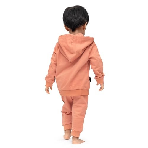 ARIEL Kids Cotton Fleece Full Sleeve Hoodie Sweatshirt & Sweatpant Clothing Set for Boys and Girls (TEDYPKT_5-6 years) - Image 4
