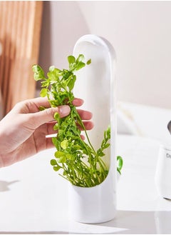 Generic Herb Preserver Capsule for Fridge, Fresh Herb Preserver for Coriander, Mint, Parsley, Dill, Keeps Vegetables Fresh 1pc  - Image 1