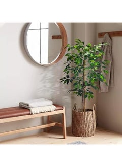 Artificial Plants Faux Plants Ficus Trees Eucalyptus Trees with Silk Leaves Fake Moss and Sturdy Nursery Pot, Fake Plants for Office Home Indoor Decor (1) - pzsku/Z49CFC89B945A7F82A008Z/45/_/1739194326/1b5cfb90-95c6-4849-a9c1-dc062f15e09d