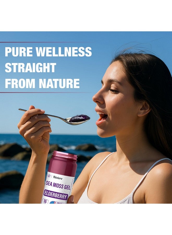 Biolore جل طحالب البحر بيو لور - توت البلسان 16 أونصة، طحالب إيرلندية برية مع الفيتامينات الأساسية والمعادن النادرة، غذاء نباتي خارق مصنوع في الولايات المتحدة - Image 4