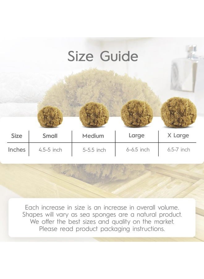 Naroa Exfoliating Natural Sponge for Shower Large | Bath Sea Loofah for Healthy Skin | Unbleached Bathing Body Scrubber Puff | Eco Friendly Plastic Free (L) - Image 5