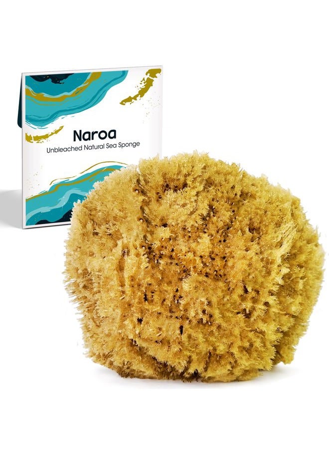 Naroa Exfoliating Natural Sponge for Shower Large | Bath Sea Loofah for Healthy Skin | Unbleached Bathing Body Scrubber Puff | Eco Friendly Plastic Free (L) - Image 1