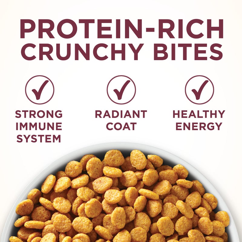 Purina ONE High Protein Dry Cat Food, +Plus Urinary Tract Health Formula - 16 lb. Bag - Image 2