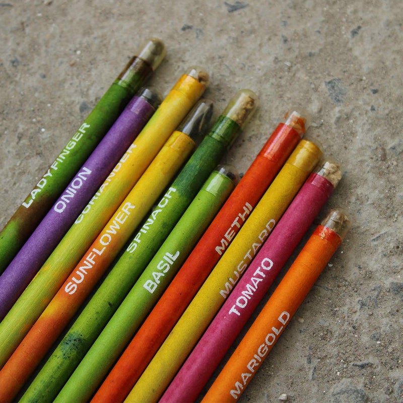 Bio-Q Box of 50 Plantable Pencils With Seeds| Eco Friendly Stationary | Recycled Paper Bulk Packaging | Grow Plants From Pencils - Image 5