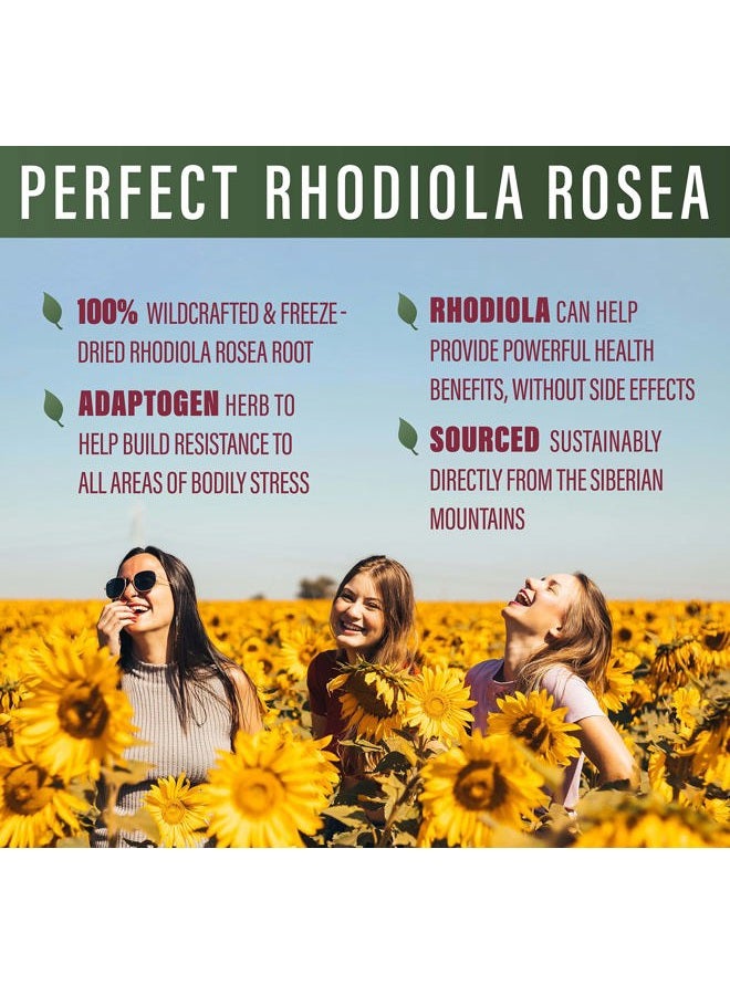 Perfect Supplements 3 Pack Perfect Rhodiola Rosea Freeze Dried 100% Wild Crafted Siberian Rhodiola Rosea Root Vegetable Capsules 60 Multi - Image 2