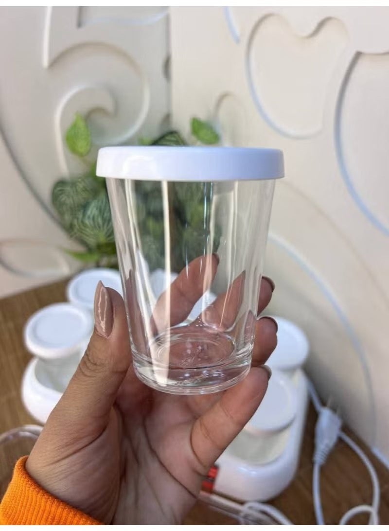 City Homemade yogurt maker – 8 cups - Image 5