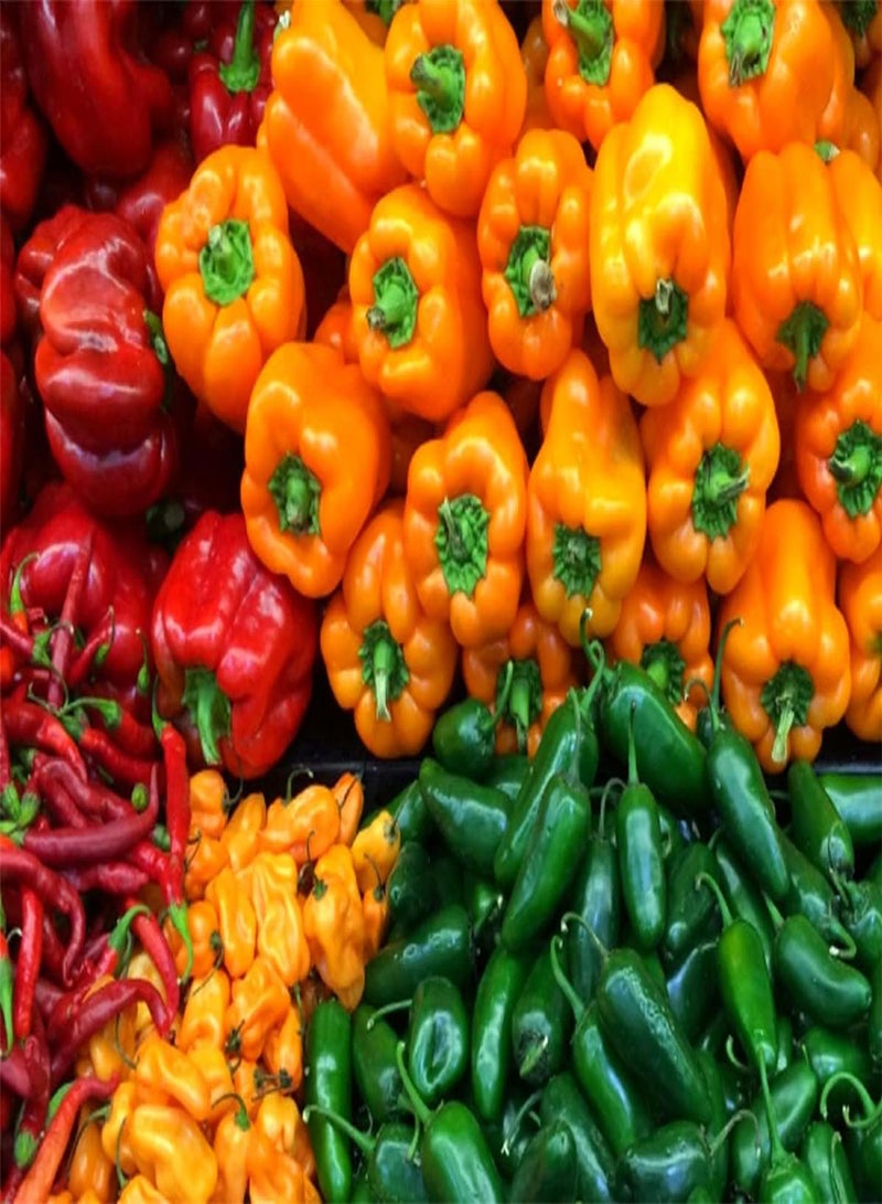 جي جوت بذور الفلفل الحار مزروعة في المملكة المتحدة/بذور عضوية عالية الجودة/عشبة معمرة/قيمة إنتاجية متوقعة عالية/بذور حديقة تراثية - 200 بذرة - Image 2