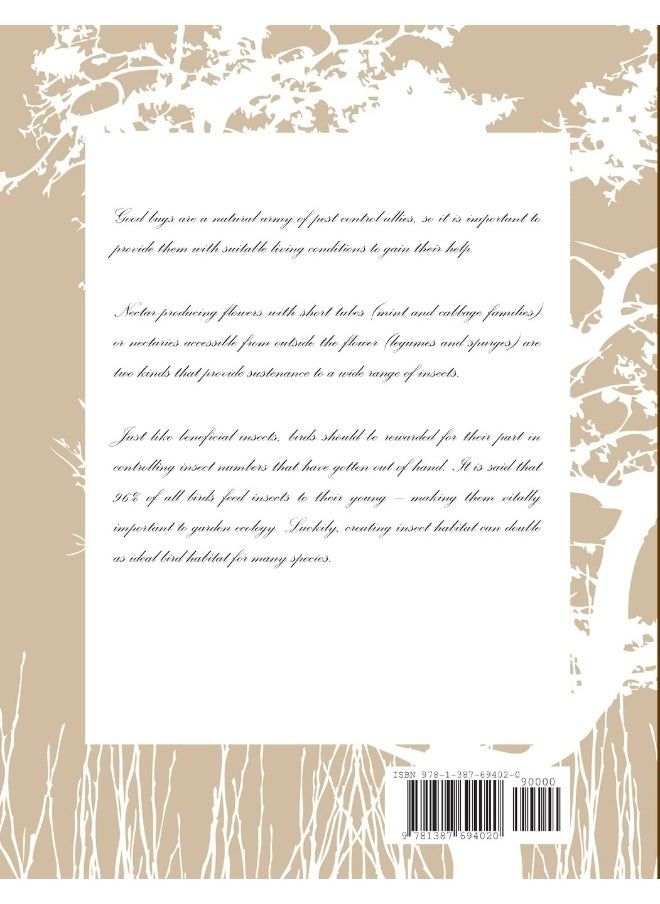Butterflies, Birds & Bugs Coloring Book  - Image 2