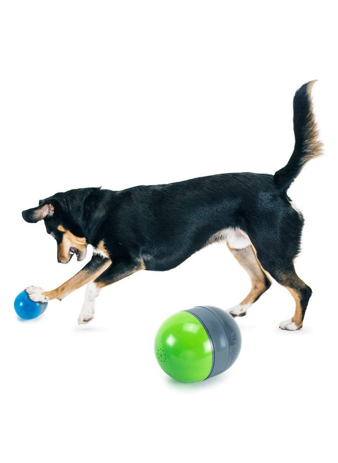 بيت سيف لعبة PetSafe Ricochet الإلكترونية للكلاب التي تُصدر صريرًا - زوجان من الألعاب تُصدر صريرًا لإبقاء الكلاب مشغولة - لغز شيق للحيوانات الأليفة التي تشعر بالملل أو القلق أو النشاط  - Image 1