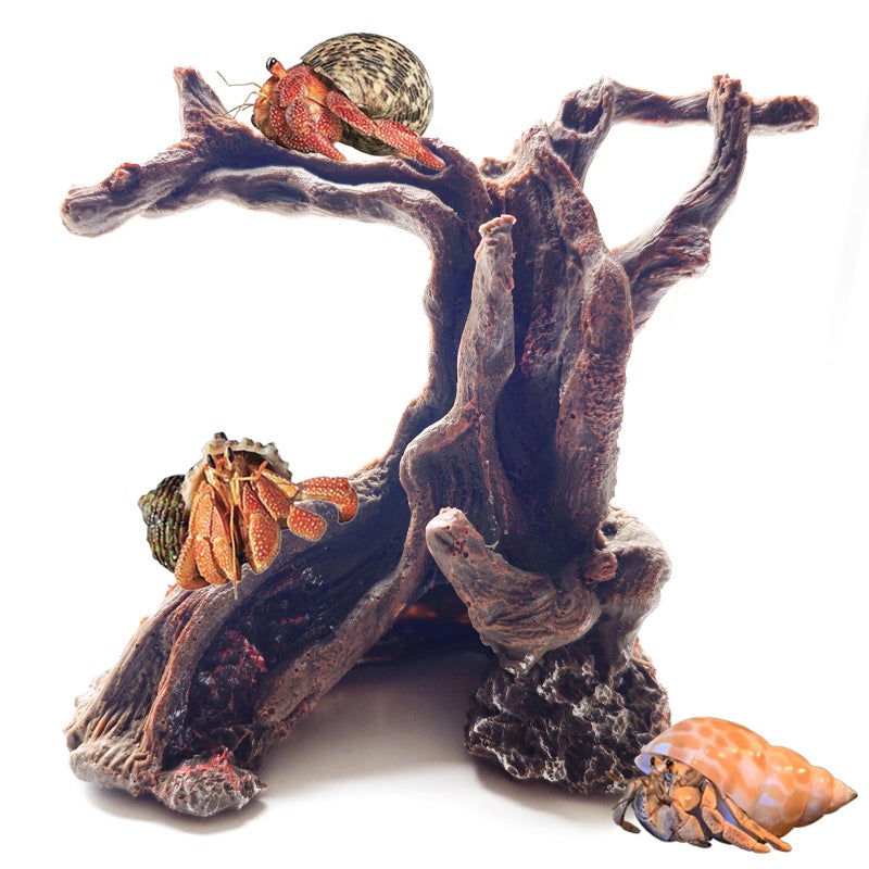 Anranmm Hermit Crab Climbing Toys Aquarium Decorations Artificial Tree Trunk Ornaments Betta Fish Hideout Caves Reptile Habitat Decor Accessories for Leopards Geckos Lizards - Image 1