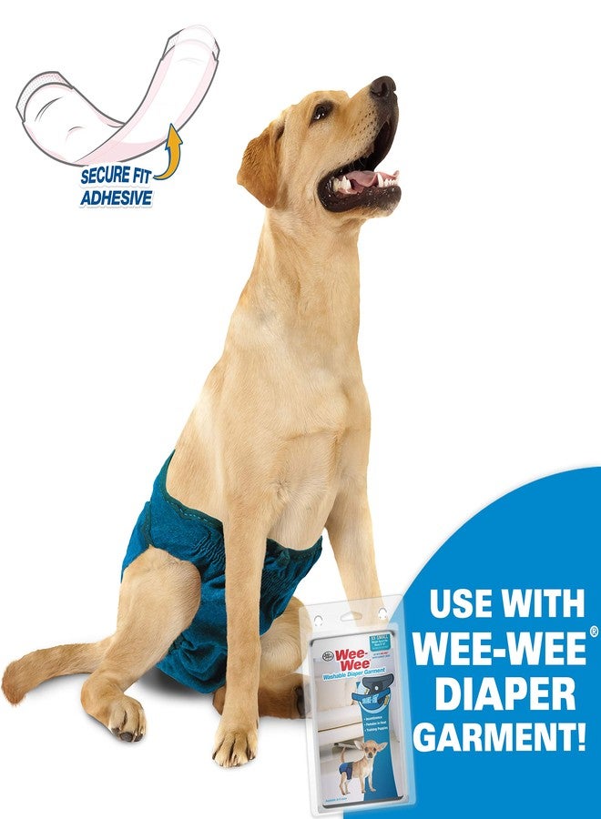 Four Paws Wee-Wee Super Absorbent Disposable Adjustable Dog Potty Training Diapers, Leak-Proof Protection for Puppies and Small Dogs, Extra Small, 12 Count - Image 4