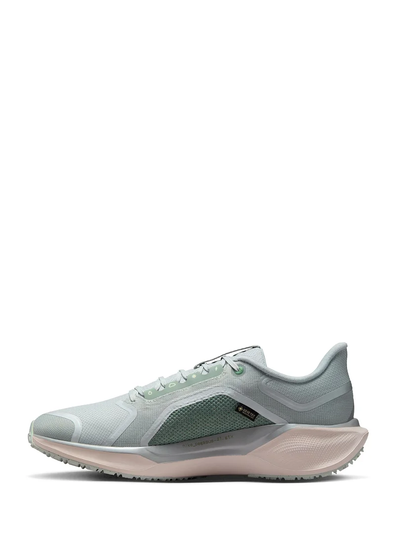 نايكي Air Zm Pegasus 41 Gtx