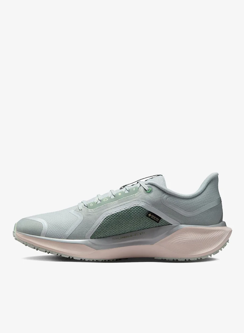 Nike Nike Pegasus 41 GORE-TEX