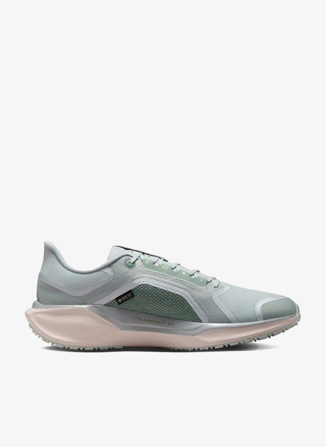 Nike Pegasus 41 GORE-TEX - Image 1