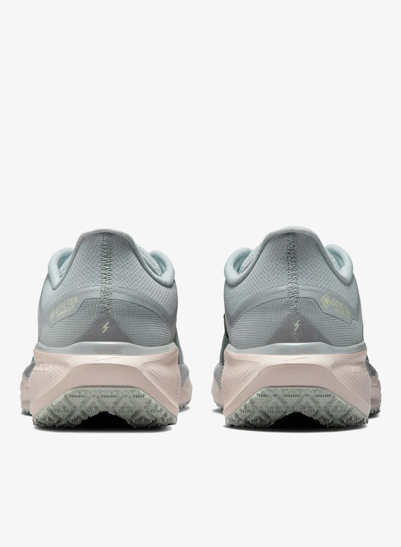 Nike Nike Pegasus 41 GORE-TEX