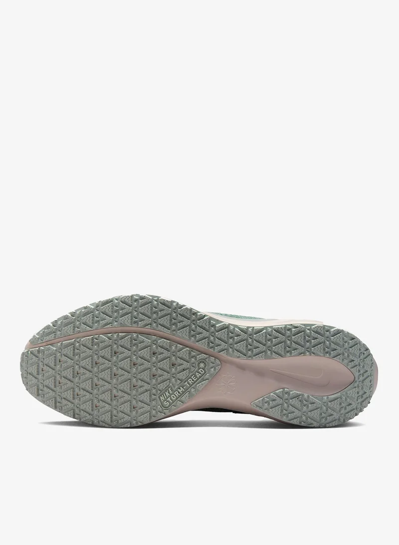 Nike Nike Pegasus 41 GORE-TEX