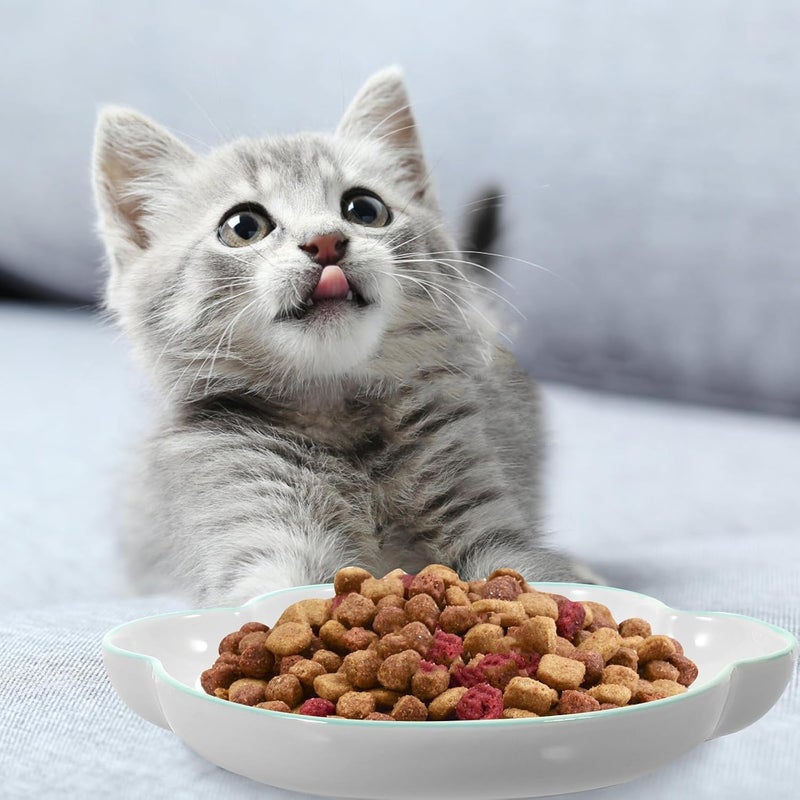 GALPADA Ceramic Cat Paw Bowl 9-inch Tilted Indoor Pet Feeding Bowl Non-Spill Raised Cat Food Feeder - Image 4