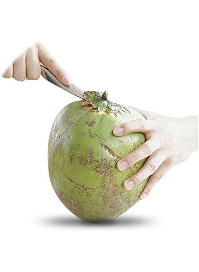 Divinext Coconut Opener for Fresh Green Young Coconut Water - Works with Peeled Thai Young White Coconuts, 16 X 6 X 1.5 cm, Silver - Image 2