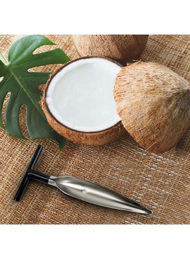 Divinext Coconut Opener for Fresh Green Young Coconut Water - Works with Peeled Thai Young White Coconuts, 16 X 6 X 1.5 cm, Silver - Image 4