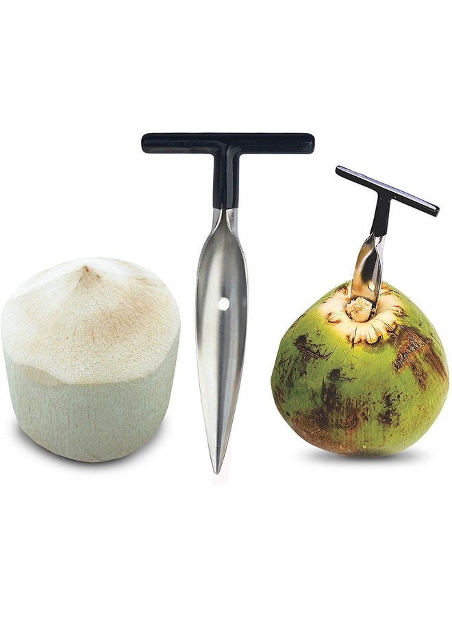 Divinext Coconut Opener for Fresh Green Young Coconut Water - Works with Peeled Thai Young White Coconuts, 16 X 6 X 1.5 cm, Silver - Image 1
