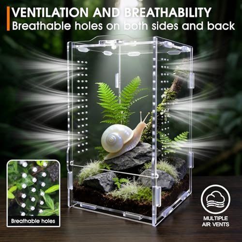 GTSEEMUU Jumping Spider Enclosure, Insect Terrarium, Bug Cage, Acrylic Terrarium for Tarantula, Snail, Praying Mantis, Frog, and Small Reptiles (4.7" x 4.3" x 7.8") - Image 3