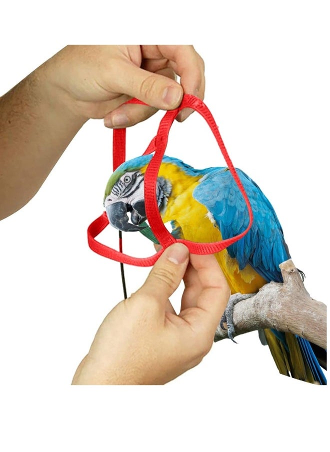 Generic - Bird Harness Anti Bite Bird Aviator Training Rope and Leash for Cocktiel Macaw all Birds Training Outdoor - Image 1