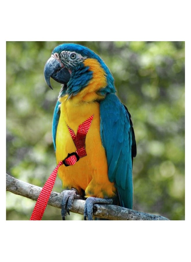 Generic - Bird Harness Anti Bite Bird Aviator Training Rope and Leash for Cocktiel Macaw all Birds Training Outdoor - Image 1