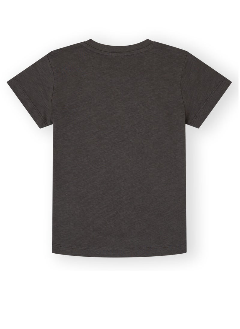 CANADA HOUSE Soft and Comfortable Ash Grey 100% Organic Cotton T-shirt for Boys  - Image 2