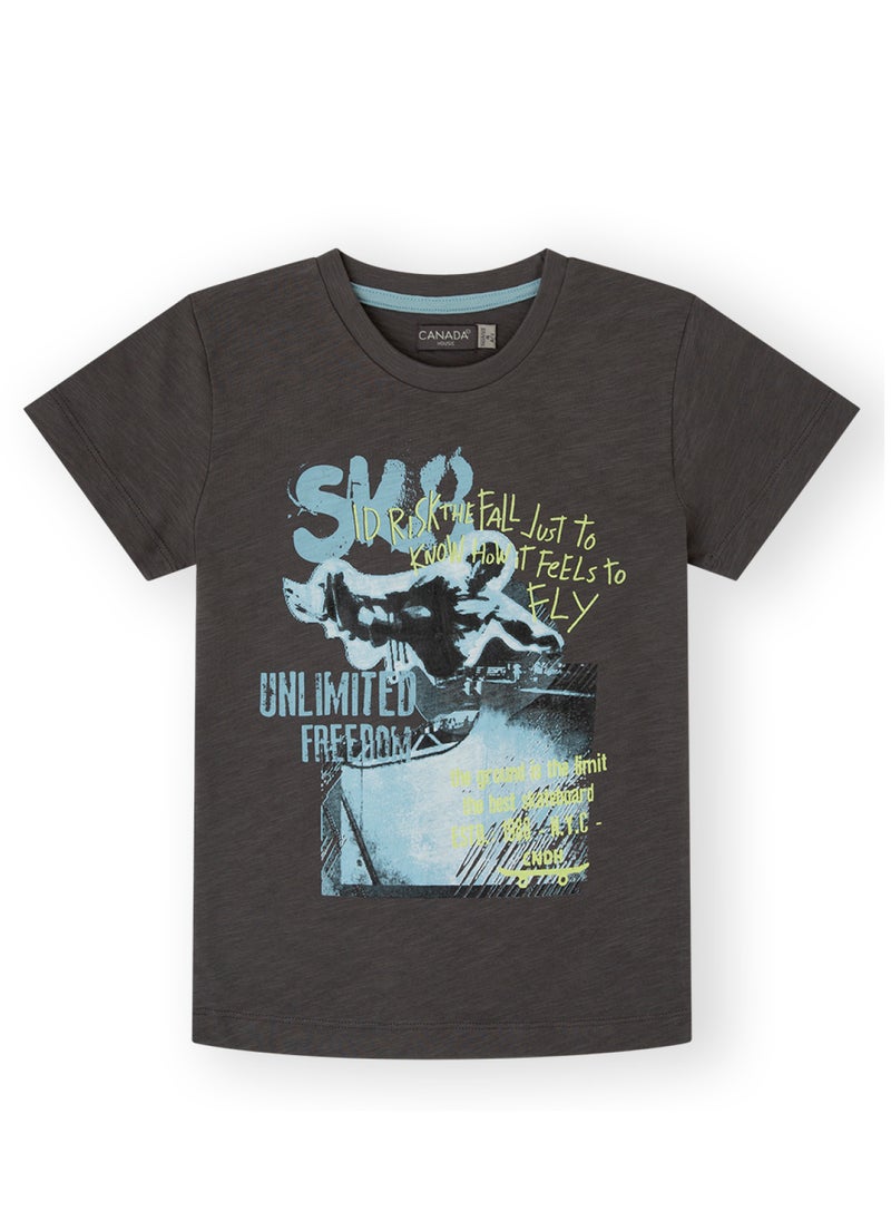 CANADA HOUSE Soft and Comfortable Ash Grey 100% Organic Cotton T-shirt for Boys  - Image 1