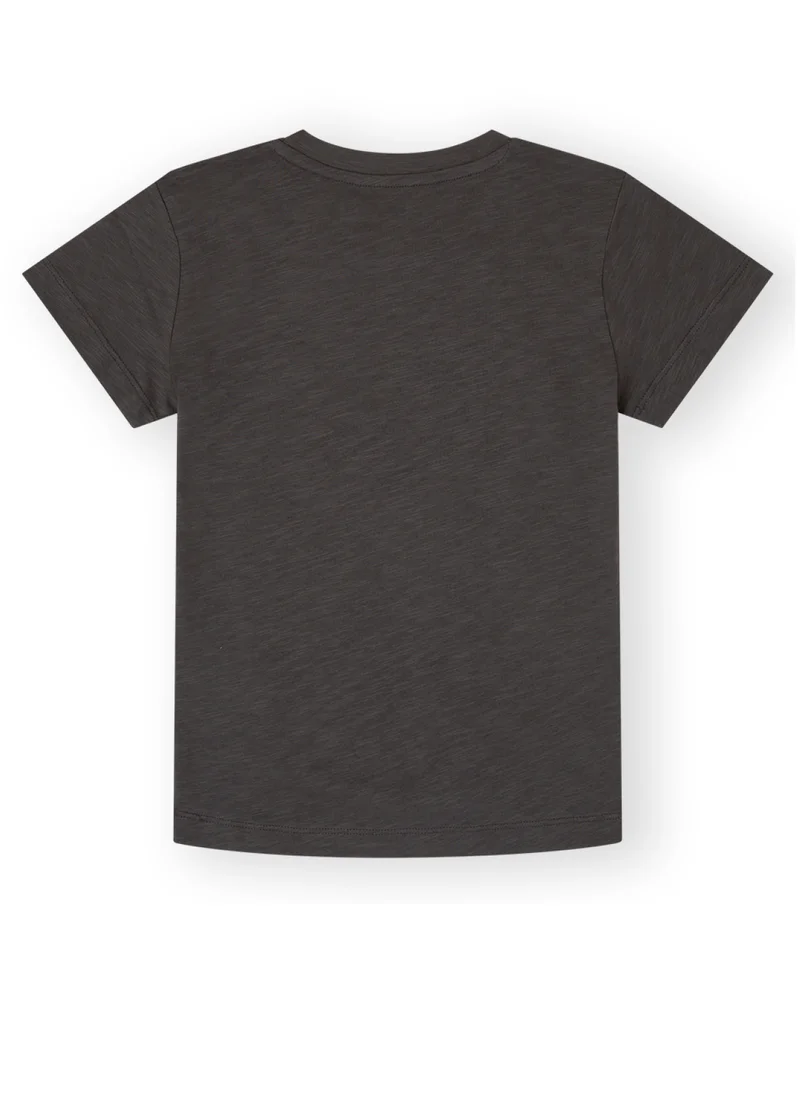 CANADA HOUSE Soft and Comfortable Ash Grey 100% Organic Cotton T-shirt for Boys